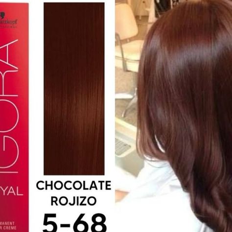 Pelo Chocolate Claro, Brown Reddish Hair, Igora Vibrance, Brown Hair Tones, Reddish Hair, Hairdos For Short Hair, Hair Stylies, Korean Hairstyle, Cut My Hair