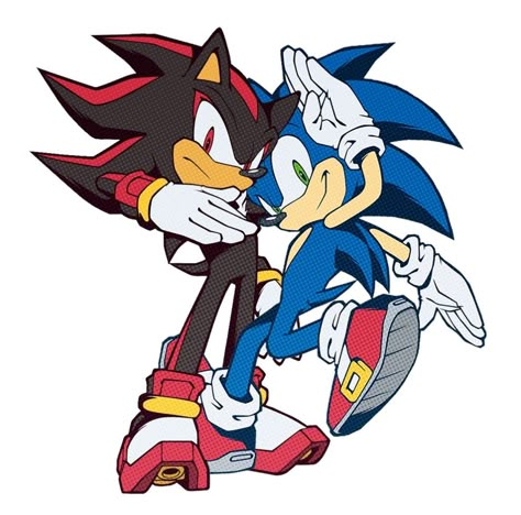 Shadow X Sonic, Shadow And Sonic, Hedgehog Game, Sonic And Tails, Sonic Ships, Sonic X Shadow, Shadow Sonic, Silver The Hedgehog, Sonic And Amy