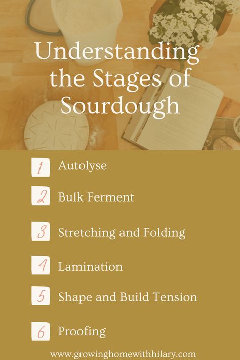 Loaf of sourdough bread, a sourdough cookbook, and a bin of flour on a countertop. Sourdough Bread Process, Sourdough Process, Sourdough Bulk Fermentation Chart, When Is My Sourdough Starter Ready, How To Know When Sourdough Starter Is Ready To Use, How Do You Know When Your Sourdough Starter Is Ready, Why Isn’t My Sourdough Starter Rising, The Perfect Loaf, Making Sourdough Bread