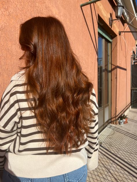 Henna Colored Hair, Ginger Dark Brown Hair, Emily Carey Red Hair, Red Cinnamon Hair Color, Brown Hair Henna, Henna Red Hair, Ginger Brown Hair Color, Brown Henna Hair, Brown Ginger Hair