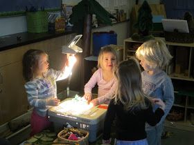 StrongStart: Shadows on the Big Screen Classroom Ceiling, Overhead Projector, Canopy Frame, What Is Today, Teaching Preschool, Groundhog Day, Plastic Animals, Picture Books, Big Screen