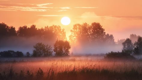 Meadow Landscape Photography, Sunset Reference, Cozy Landscape, Outside Photography, Fog Landscape, Fall Landscapes, Horizontal Landscape, Landscape Photography Nature, Pretty Landscapes