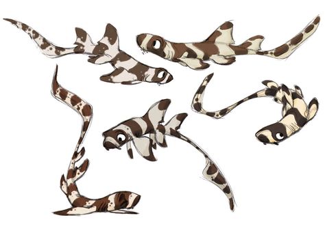 Bamboo Shark, Zebra Shark, Archive Library, Shark Drawing, Animation Drawing, Library Reference, Shark Art, Model Sheet, Design Challenge