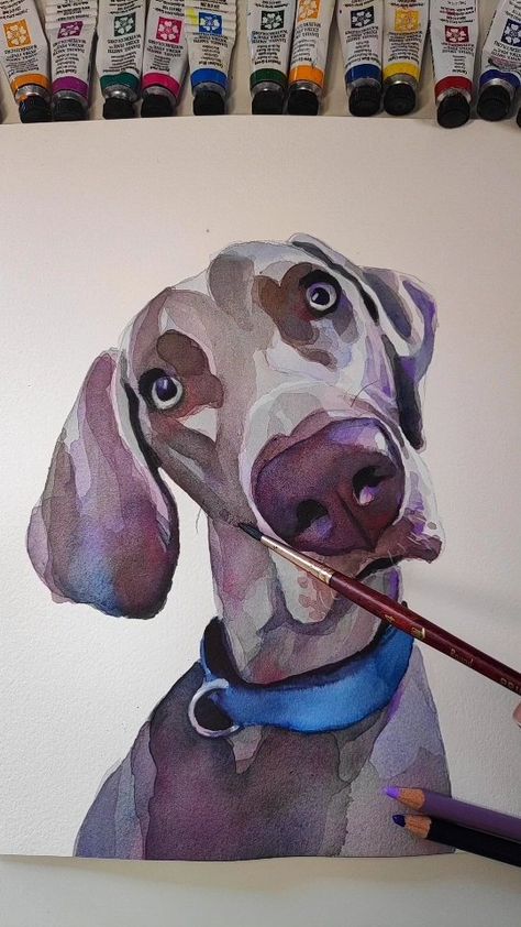 doggodrawings_ on Instagram: Some snippets of this cutie doing a head tilt 😊🐾 9x12 inches, watercolour and pencil . . . #artreel #irishpainter #irishartist… Watercolour Pet Portrait, Weimaraner Watercolor, Watercolour And Pencil, Animals To Paint, Dog Portraits Painting, Portraits Painting, Watercolor Dog Portrait, Wpap Art, Head Tilt