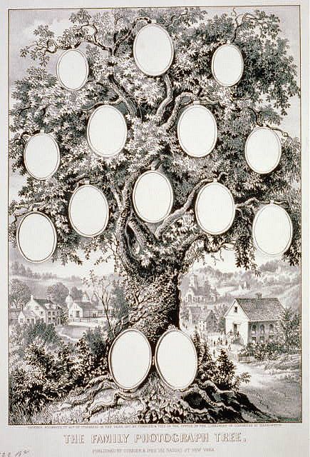 The Family Photograph Tree 1871 by RosieCotton, via Flickr Genealogy Crafts, Old Pages, Genealogy Scrapbooking, Family Tree Art, Family History Book, Heritage Scrapbooking, Family Tree Chart, Family Tree Genealogy, Family Tree Template