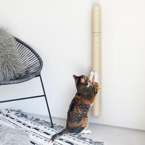 Amazon.com : xympo 34" Wall Mounted Cat Scratcher, Sisal Scratching Post : Pet Supplies Scratching Post For Cats, Cat Scratchers, Furniture Scratches, Cat Bed Furniture, Indoor Cats, Natural Sisal, Cat Scratching Post, Cat Scratcher, Scratching Post