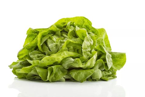 What Is Butter Lettuce and How Is It Used? Cucumber Pasta, Cucumber Pasta Salad, Lettuce Recipes, Wilted Lettuce, Leaf Lettuce, Butter Lettuce, Baked Lasagna, Green Lettuce, Summer Meals