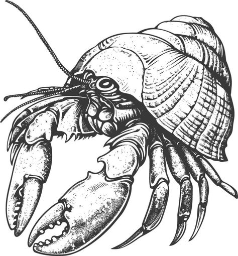 Hermit crab animal with engraving style black color only Hermit Crab Illustration, Hermit Crab Tattoo, Hermit Crab Drawing, Crab Animal, Crab Drawing, Ink Patterns, Crab Tattoo, Flash Ideas, Hermit Crabs