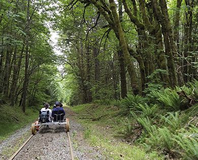 Pedal Historic Timber Rails | Explore Hood Canal Olympic National Forest, Hood Canal, Olympic Mountains, Skyline Drive, Valley Road, Forest Service, Swimming Holes, Skydiving, Heritage Site