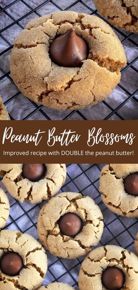 The Very Best Peanut Butter Blossoms Cookies Best Peanut Butter Blossoms, Peanut Butter Blossoms Cookies, Peanut Butter Hershey Kiss Cookies, Blossoms Cookies, Peanut Blossom Cookies, Peanut Butter Blossoms Recipe, Hershey Kiss Cookies, Peanut Butter Kiss, Peanut Butter Blossom