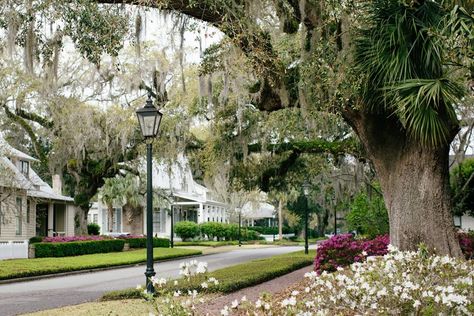 Wandering: Palmetto Bluff - Map & Menu Pretty Neighborhood, Old American Houses, Neighborhood Aesthetic, Bungalow Farmhouse, Cottage Bungalow, Outdoor Restaurant Design, Commercial And Office Architecture, Beach Cruiser Bikes, Palmetto Bluff