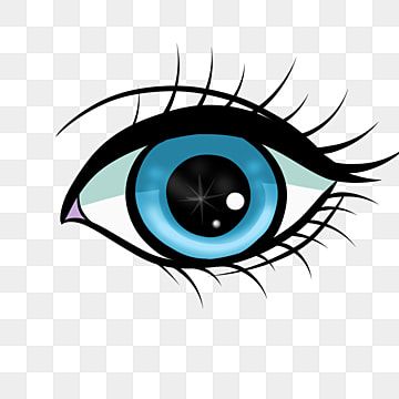 ojos de órganos humanos,ojos negros,pestañas largas,ojos pintados a mano,decoración de ojos,ilustración del ojo,ojos brillantes,clipart de ojos,clipart humano,ojos de dibujos animados,ojos,ceja,ojos de anime,pestaña Human Clipart, Illustration Eyes, Eyes Png, Eye Structure, Eyes Clipart, Human Organs, Eye Expressions, Eye Illustration, Human Organ