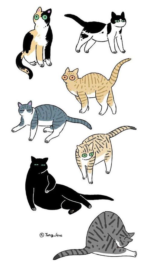 Cats Illustration, Cat Illustration, Cat Drawing, 귀여운 동물, Art Reference Photos, Animal Illustration, Cat Art, Animal Drawings, Animal Art