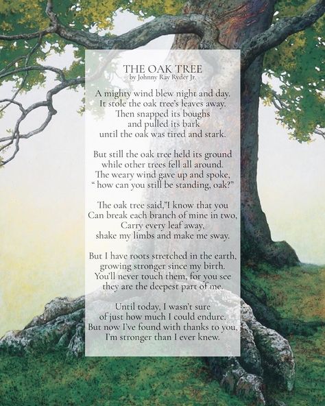 Winds of change on Instagram: “The Oak Tree  by Johnny Ray Ryder Jr.  A mighty wind blew night and day. It stole the oak tree’s leaves away. Then snapped its boughs  and…” Wind Poem, Tree Poem, Tree Story, Tree Quotes, Inspirational Wall Decals, Sweet Romantic Quotes, Romantic Poems, Positivity Quotes, Mighty Oaks