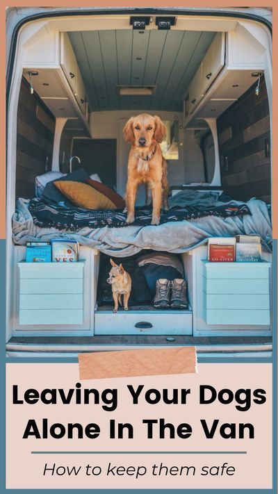 Van Conversion Dog, Camper Dog, Conversion Vans, Minivan Camping, Enclosed Trailer, Camper Van Life, Trailer Storage, Trailer Camping, Campervan Life