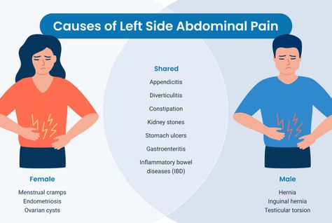 Left Side Abdominal Pain, Stomach Ulcers, Serious Illness, Emergency Care, Large Intestine, Menstrual Cramps, Stomach Pain, Abdominal Pain, Emergency Room