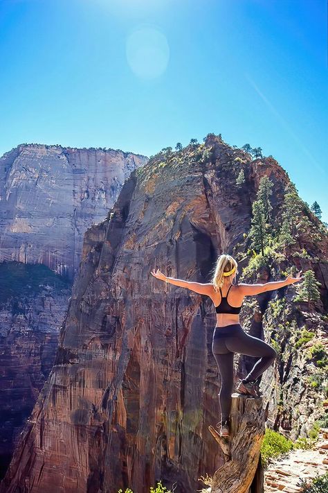 Angels Landing, Zion National Park, Utah, USA. Angels Landing Zion National Park, Angels Landing Zion, Arizona Bucket List, Zion National Park Utah, Angels Landing, Utah Usa, Joan Miro, Zion National Park, Grand Canyon