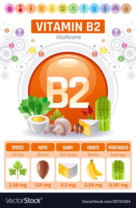 Riboflavin vitamin b2 rich food icons healthy Vector Image Table Vector, Vitamin A Foods, Natural Mouthwash, Rich Food, All Vitamins, Illustration Human, Vitamin B2, Diet Chart, Vitamins For Skin