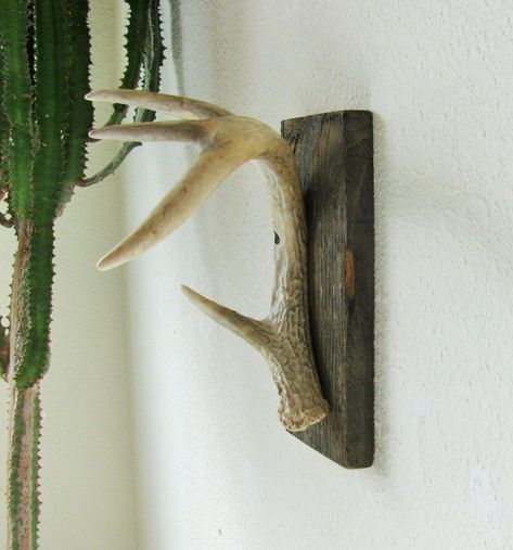 Rustic Hat Rack, Rustic Hunting Cabin, Antler Hat, Antler Ideas, Deer Antler Decor, Outdoorsman Gifts, Antlers Decor, Antler Decor, Tree Branch Wall