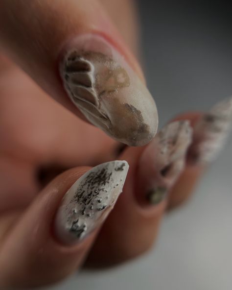 Organic nail art 🥰 a little rotten a bit moldy nails are my favorite #nailartmilano #uglynails #moldnails #koreannailart #unghiette #nailsmilano #маникюрмилан #naturenails Molten Nail Art, Molten Silver Nails, Organic Nails, Korean Nail Art, Nails Inspo, Nail Inspo, My Favorite, Nail Art, Nails