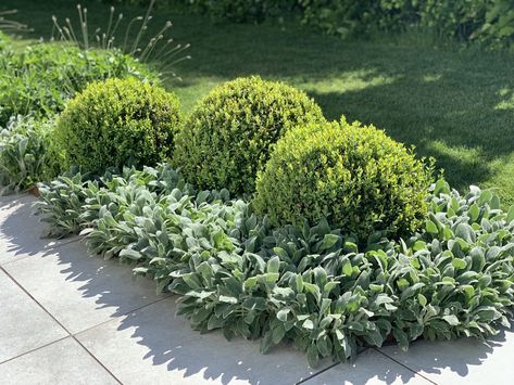 EDSVIKEN II • Bengtsson Design Garden Details, Planting Plan, Green Inspiration, Formal Garden, Plant Combinations, Gorgeous Gardens, Plant Design, Ground Cover, Front Garden