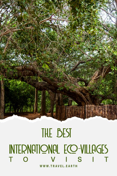 Eco-villages are essentially designed communities which strive to produce the least possible negative impact on the natural environment through intentional physical design and resident behaviour choices. They are consciously planned through locally owned, participatory processes to regenerate and restore its social and natural environments. An eco-village mostly ranges from a population of 50 to 250 individuals, although some are smaller, and traditional eco villages are often much larger. Eco Village Design, Sustainable Village, Eco Village Community, Eco Village, Sea Star, Affordable Housing, Natural Environment, Travel Bucket List, Travel Bucket