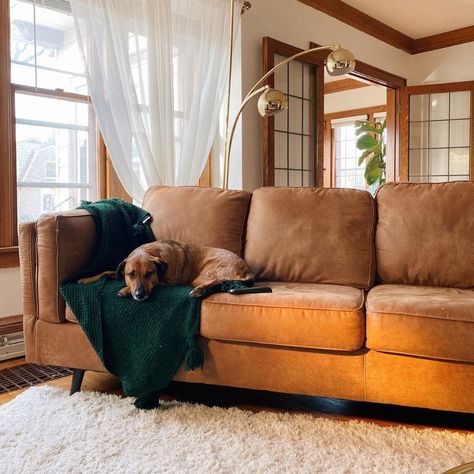 It's time for a ✨living room refresh✨ and the Maimz Sofa is a 10/10! We're loving the minimalistic profile and the caramel faux leather upholstery. 😍 Products Featured: ✅Maimz Sofa Ready to refresh your living space? Shop the 🔗 below! 👇🧡 www.simcoehomefurnitureon.com Caramel Couch Living Room, Maimz Sofa, Caramel Couch, Camp Living Room, Caramel Sofa, Camp Living, Sofa Outlet, Fall Nyc, Retro Elements