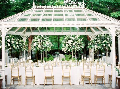 Raised Centerpieces, Spring Reception, Birmingham Wedding Venues, Gold Chairs, Birmingham Botanical Gardens, Birmingham Wedding, First Year Of Marriage, Botanical Gardens Wedding, Alabama Weddings