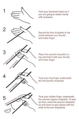 how to use chopsticks Dinning Etiquette, How To Use Chopsticks, Table Setting Etiquette, Table Etiquette, Dining Etiquette, Etiquette And Manners, Table Manners, Korean Words, Dim Sum