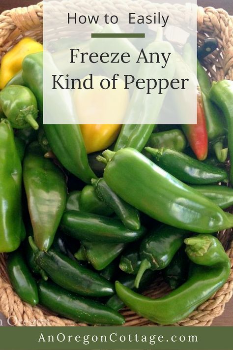 Freezing Peppers How To, Freezing Hot Peppers From Garden, Freezing Sweet Peppers, Freeze Peppers From Garden, Can You Freeze Green Peppers, How To Freeze Fresh Peppers, Freeze Peppers How To, How To Preserve Peppers From Garden, How To Freeze Sweet Peppers