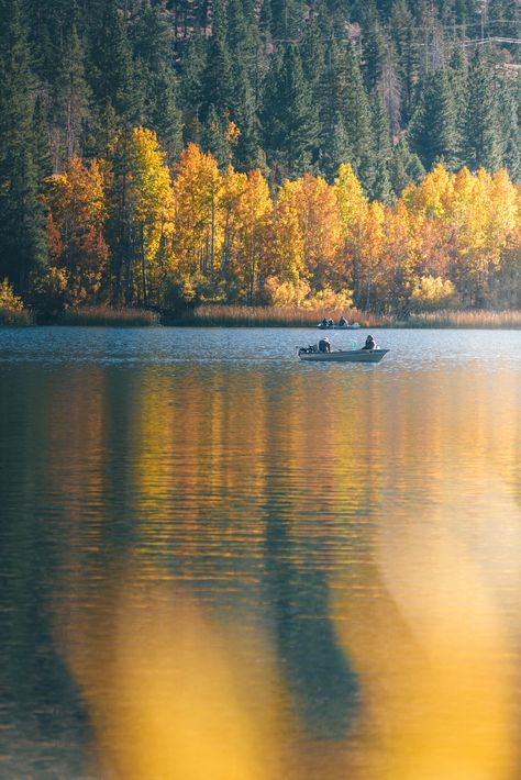 June Lake California, Fall Lake, Lake Kayaking, Fall California, June Lake, Gull Lake, California Colors, Love Wellness, Reno Tahoe