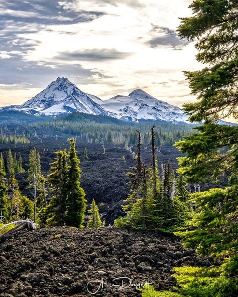 A fall view of the Three Sisters from the top of McKenzie Pass in Central Oregon. Captured last November! Photo by Alice Doggett Photography Fall View, Sisters Oregon, The Three Sisters, Central Oregon, Beautiful Pics, Three Sisters, Sacred Space, Mount Rainier, Beautiful Pictures