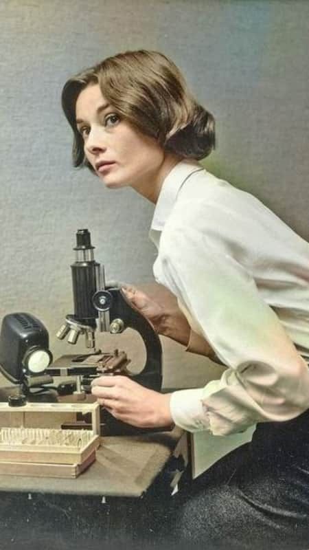 Audrey Hepburn Images, Barbara Mcclintock, Goals Board, Rosalind Franklin, Famous Scientist, Rachel Carson, Medical Laboratory Science, Women Scientists, Marine Biologist