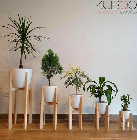 Wood Plant Stand, Diy Plant Stand, Wood Shop Projects, Plant Decor Indoor, Plant Stand Indoor, Plant Wallpaper, House Plants Decor, Wood Planters, House Plants Indoor