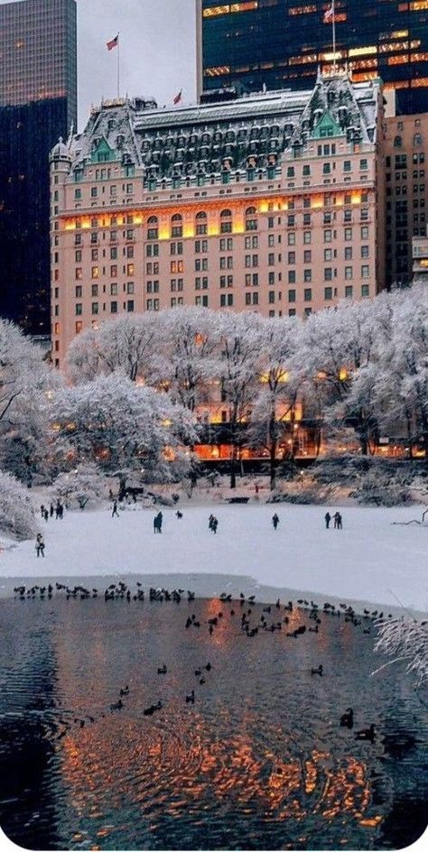 Plaza Hotel New York, New York Noel, Photographie New York, New York City Christmas, New York Winter, Nyc Christmas, Thriller Novels, Nyc Hotels, Nyc Aesthetic