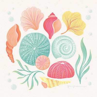 Seashell art diy