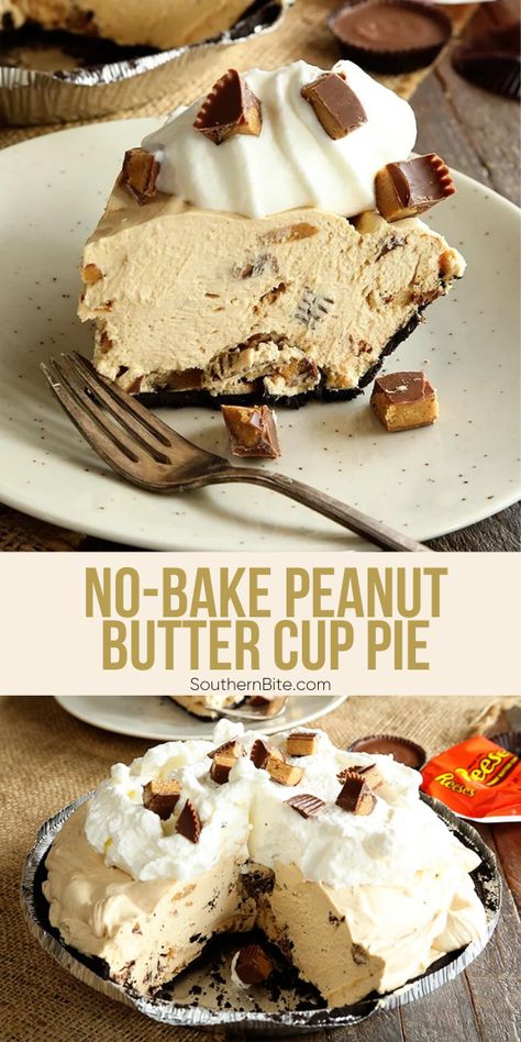 Peanut Butter Cup Pie, Cup Pie, No Bake Peanut Butter, Oreo Crust, Peanut Butter Desserts, Peanut Butter Pie, Peanut Butter Cup, Butter Pie, Reeses Peanut Butter