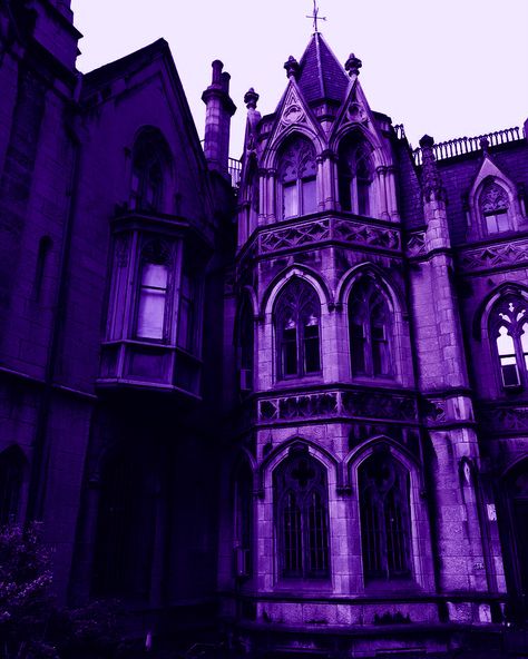 Violet Pictures, Purple Symbolism, Purple Goth Aesthetic, Martha Behamfil, Purple Photography, Tyrian Purple, Gothic Academia, Purple Goth, Detective Aesthetic