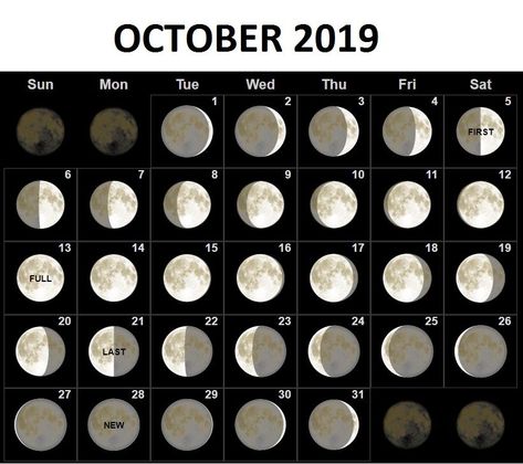 Moon Phases Calendar for October 2019 New Moon And Full Moon, Full Moon Calendar, Moon Phases Calendar, Full Moon Phases, New Moon Phase, Moon Date, Moon Phase Calendar, September Calendar, November Calendar