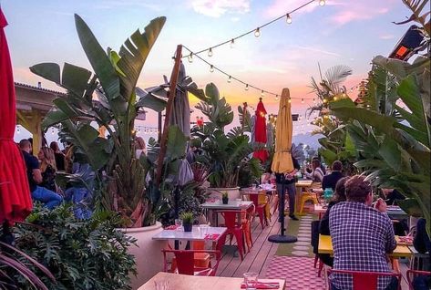 Lush, Plant-Filled Rooftops That Are Open In L.A. Right Now - Secret Los Angeles La Instagram Spots, Los Angeles Bar Aesthetic, La Restaurants Aesthetic, Los Angeles Cafe Aesthetic, La Food Places, Places To Go In La, Santa Monica Beach House, La Pictures, La Things To Do