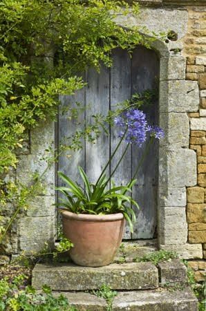 как заработать на хобби https://lvovart.com/ Foto Tips, Garden Containers, Garden Gate, Old Doors, Garden Doors, Beautiful Doors, Garden Cottage, Country Gardening, Garden Gates