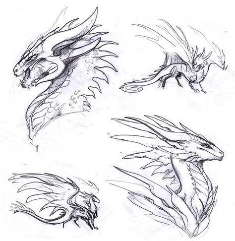 How To Draw Dragons Head, Dragon Facing Forward Drawing, Dragon Concept Art Design Reference, Dragon Head Tutorial, Dragon Reference Head, Dragon Roaring Reference, Dragon Claws Drawing Reference, Dragon Side Profile, Dragon Tail Drawing