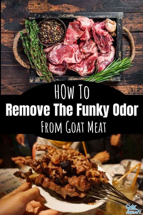 Plenty of people across the world have come up with clever tricks proven to help reduce or outright remove the strong odor associated with this delicious meat.... . #cooking #bbq #goat #smell #smelly #scent #odor #odorless #aroma #smellgood #fresh #mealprep Cooking Goat Meat, Bbq Goat Recipes, How To Cook Goat Meat Recipes, How To Cook Goat Meat, Ground Goat Meat Recipes, Goat Recipes Meat, Goat Dishes, Goat Meat Recipes, Prepping Supplies