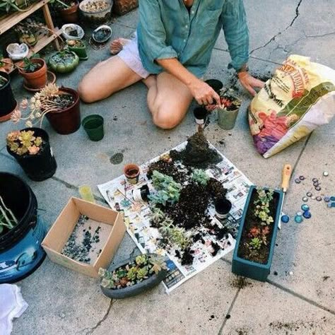 p i n t e r e s t sarah elizabeth Tattoo Plant, Plants Are Friends, Plant Mom, Green Thumb, Potted Plants, Dream Life, Flower Power, Sake, Succulent