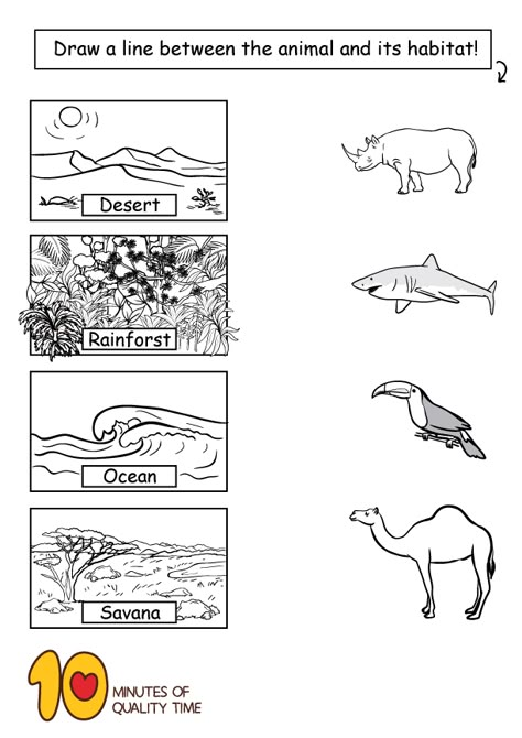 Animal Habitats Worksheets Wetlands Activities, Habitat Worksheet, Habitats Preschool, Animal Habitats Preschool, Science 2nd Grade, Kindergarten Comprehension, Habitat Activities, Sharing The Planet, Animal Activities For Kids