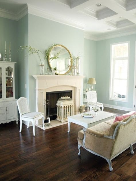 Sherwin Williams Rainwashed SW 6211: ULTIMATE Review + Pics! Seafoam Living Room, Seafoam Green Living Room, Seafoam Walls, Seafoam Green Bedroom, Dark Wood Floors Living Room, Popular Living Room Colors, Dark Wood Bedroom Furniture, Furniture Color Schemes, Dark Wood Bedroom