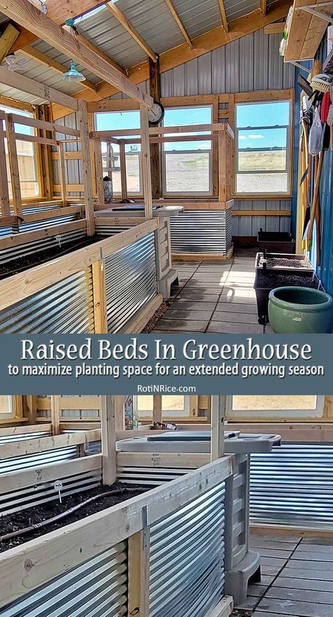 Raised-Beds In Greenhouse Garden Bed Greenhouse, Raised Beds Greenhouse, Raised Garden Greenhouse, Raised Garden Beds Greenhouse, Raised Garden Beds In Greenhouse, Greenhouse Garden Beds, Raised Bed In Greenhouse, Greenhouse Beds, Greenhouse Grow Lights