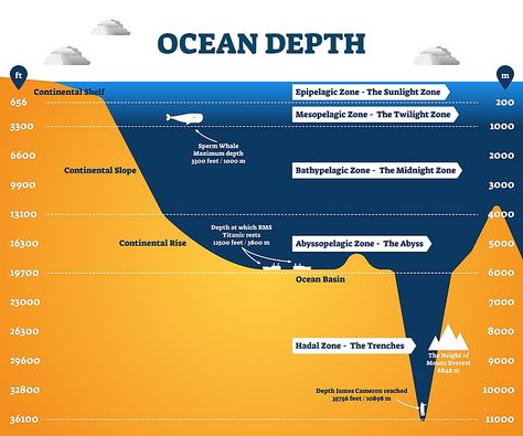 Ocean Diagram, Layers Of The Ocean, Ocean Zones, Challenger Deep, Ocean Trench, Subduction Zone, Continental Shelf, Diagram Design Ideas, Floor Vents