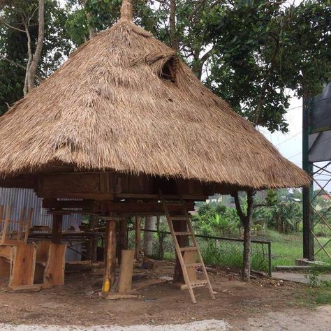 ifugao native house Ifugao House, Rural Philippines, Swamp Hut, Recycled Building, Modern Contemporary House Plans, Natural Architecture, Bahay Kubo, Contemporary Modern House, African Architecture