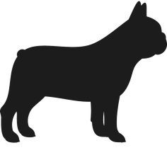 Cricut Cutouts, French Bulldog Painting, Bulldog Drawing, French Bulldog Tattoo, French Bulldog Names, French Bulldog For Sale, Dog Silhouettes, French Bulldog Breed, Bulldog Names